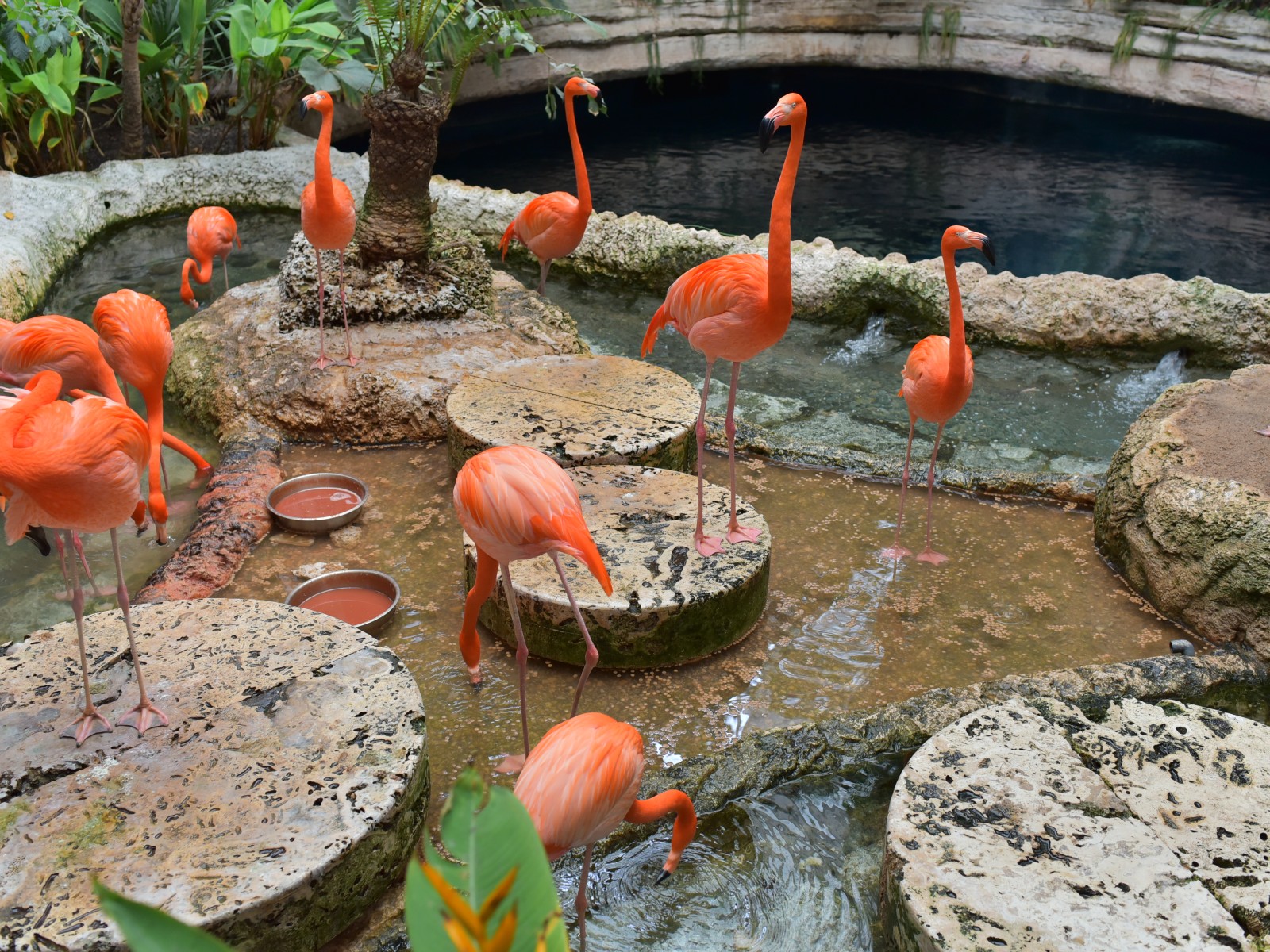Caldwell Zoo