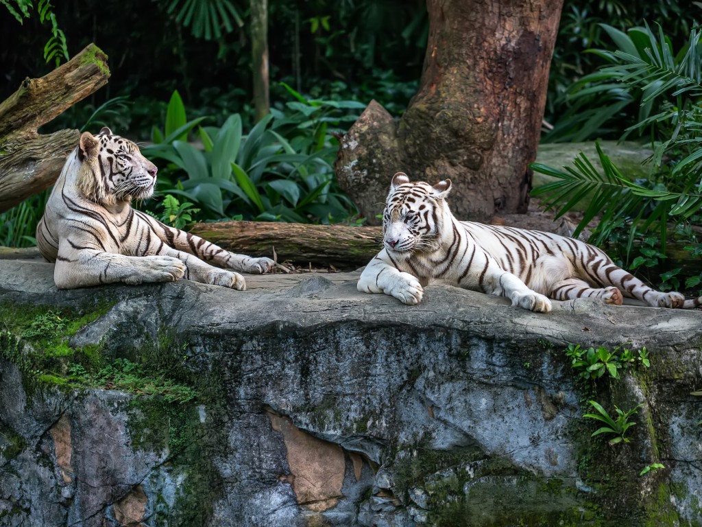 Caldwell Zoo